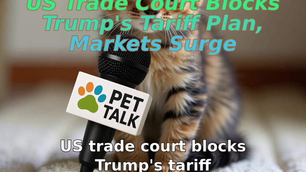 US Trade Court Blocks Trump's Tariff Plan, Markets Surge
