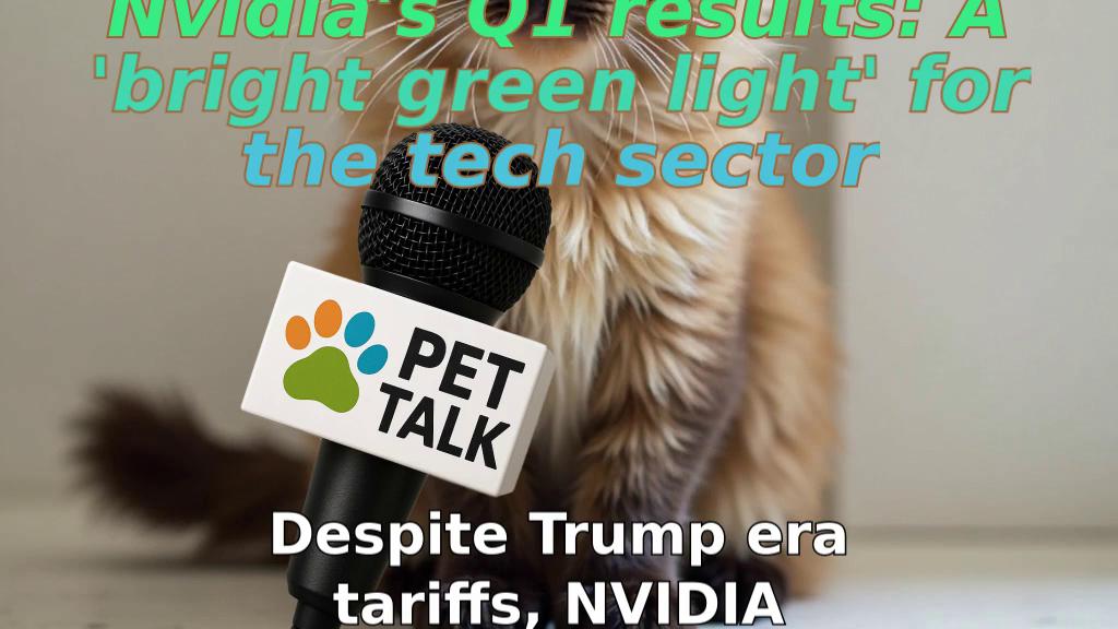 Nvidia's Q1 results: A 'bright green light' for the tech sector