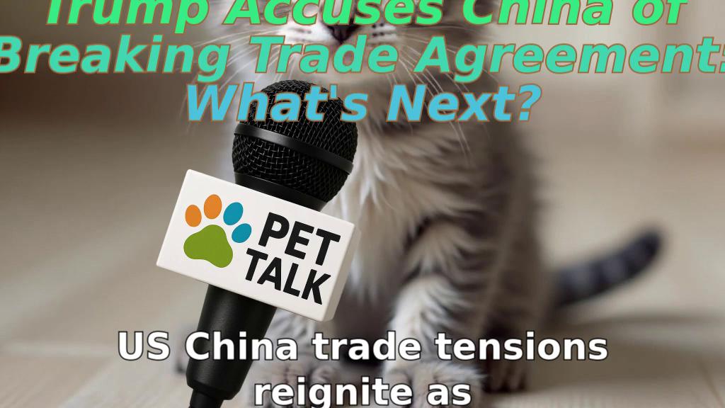 Trump Accuses China of Breaking Trade Agreement: What's Next?
