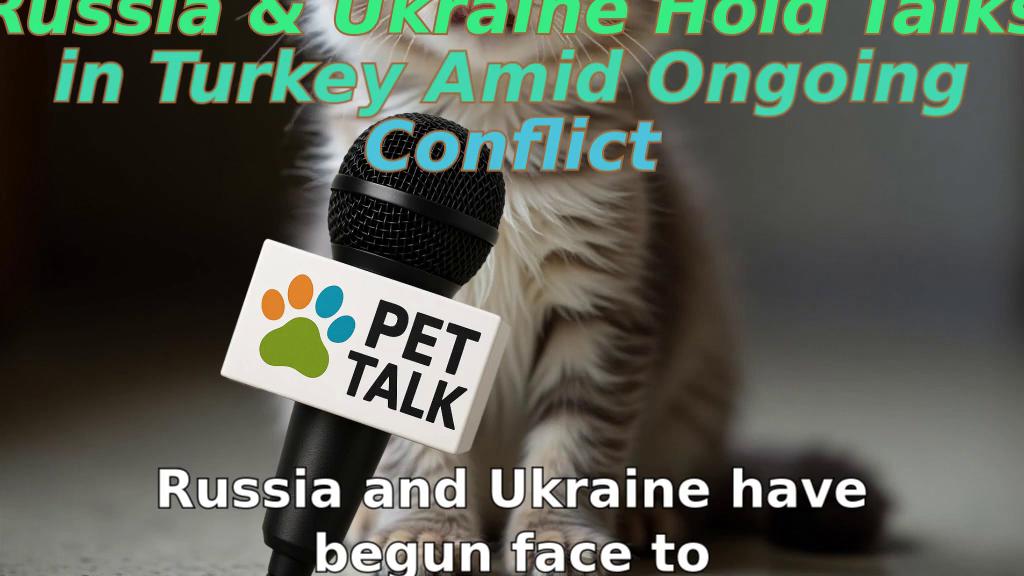 Russia & Ukraine Hold Talks in Turkey Amid Ongoing Conflict