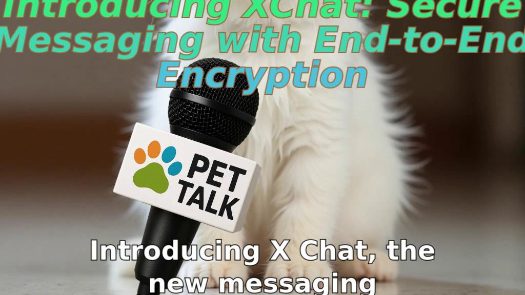Introducing XChat: Secure Messaging with End-to-End Encryption