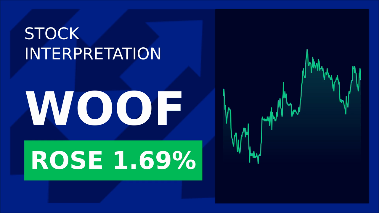 Petco Stock Drops 8.29%: Q2 Revenue Decline Shocks Investors