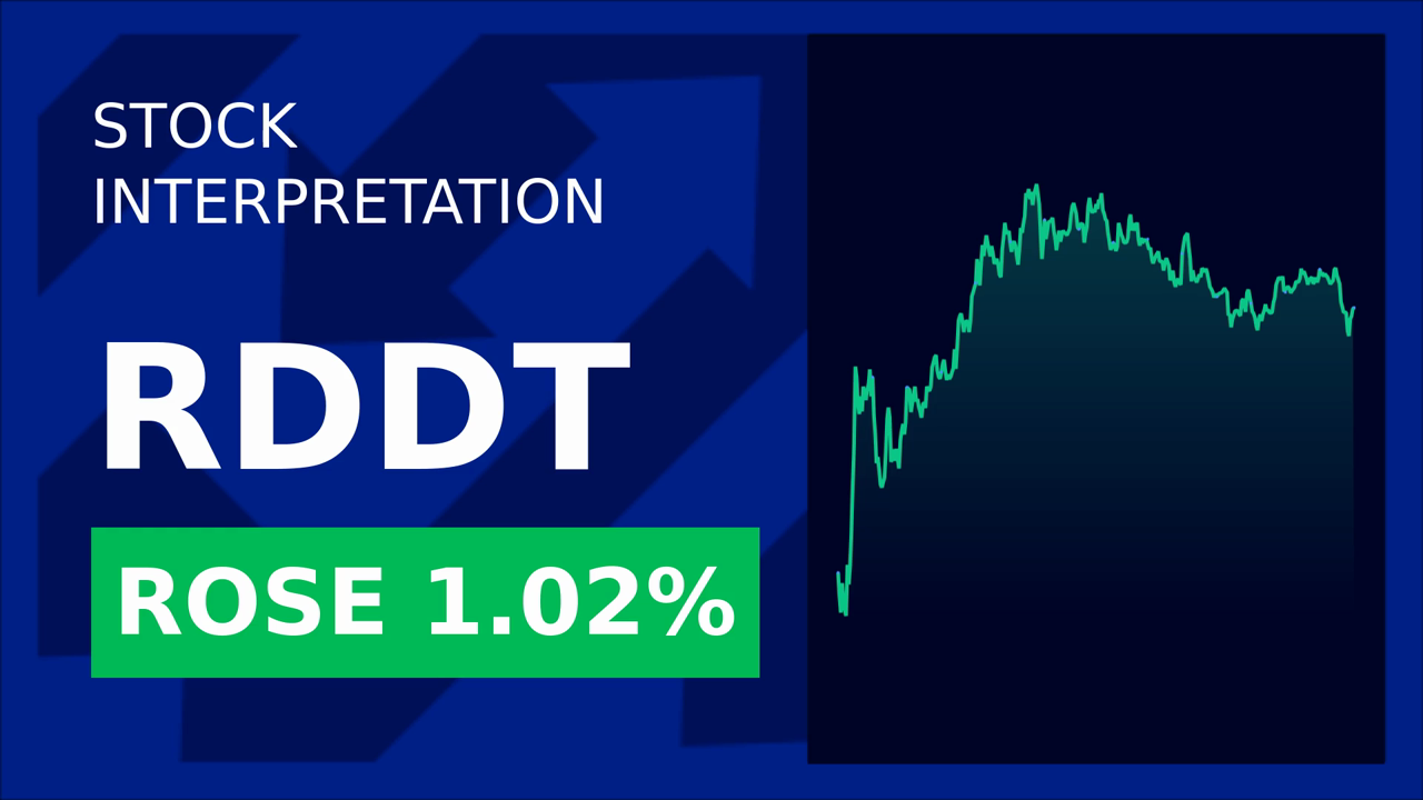 Reddit Stock Drops: Fraud Claims Spark Investigation