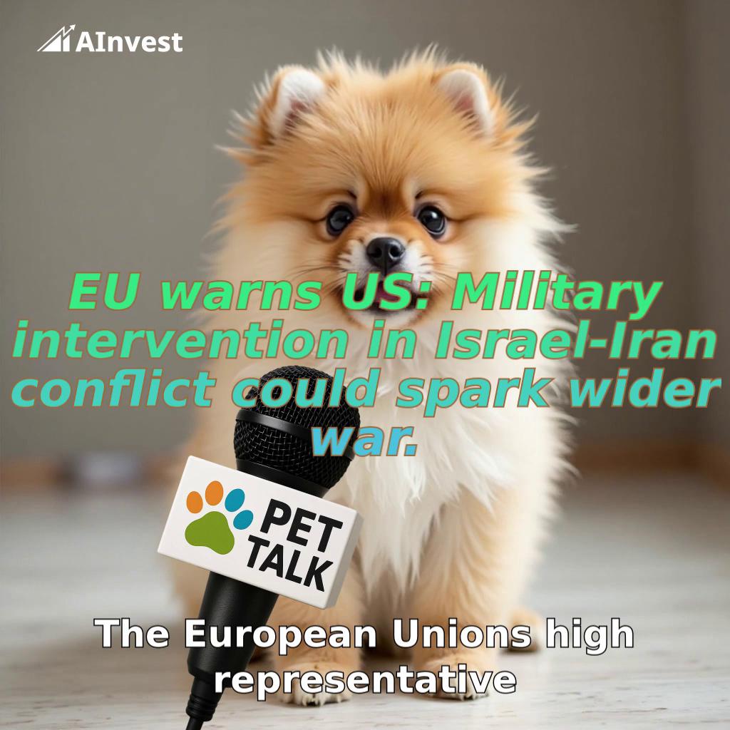 EU warns US: Military intervention in Israel-Iran conflict could spark wider war.