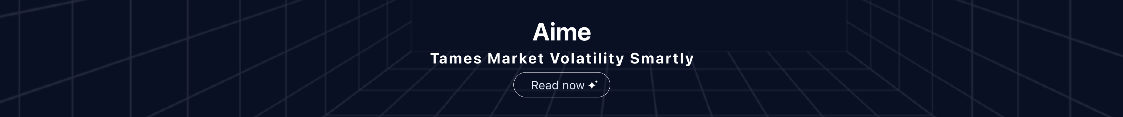 adv-market-aime