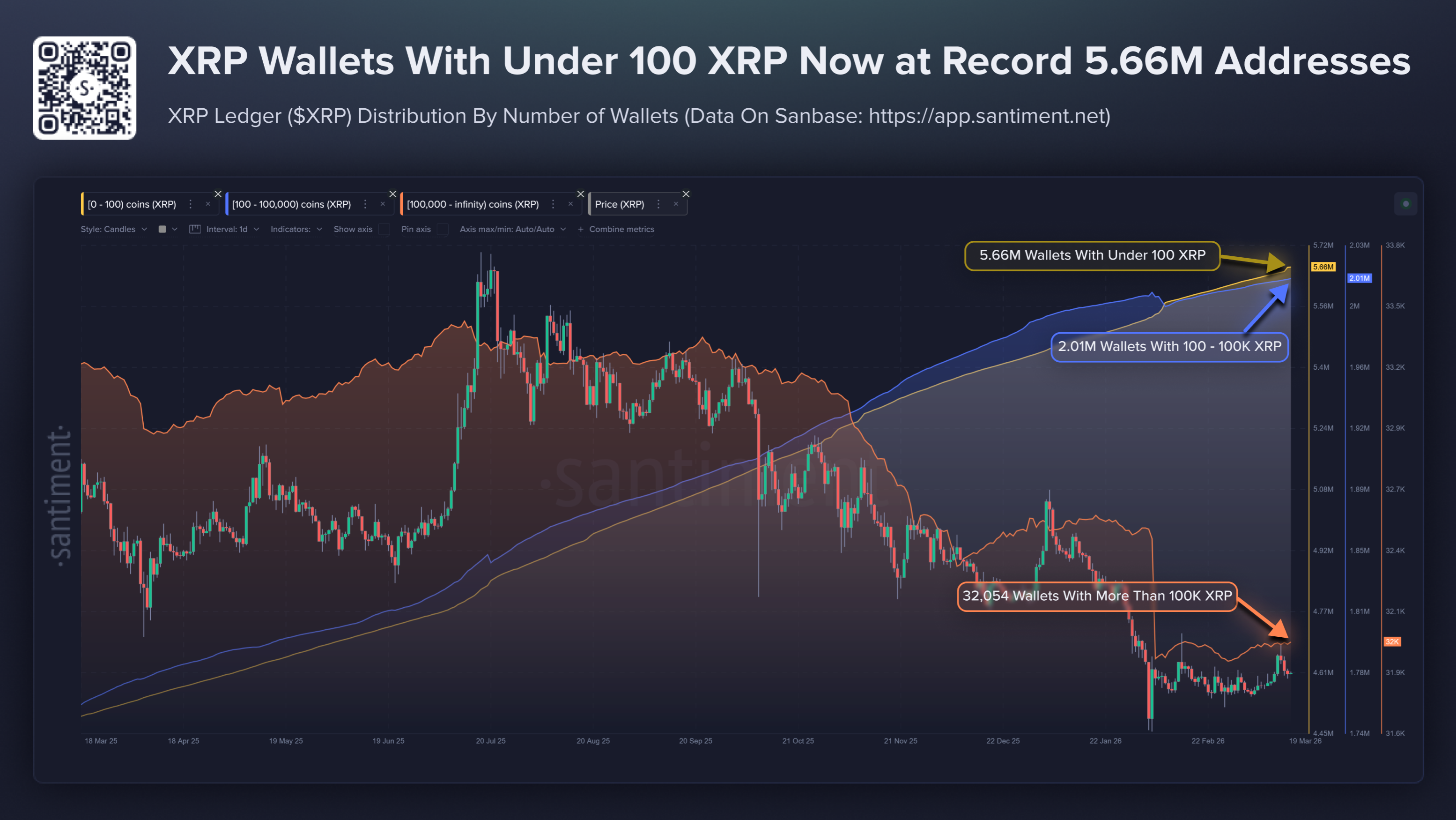 XRP's whale 